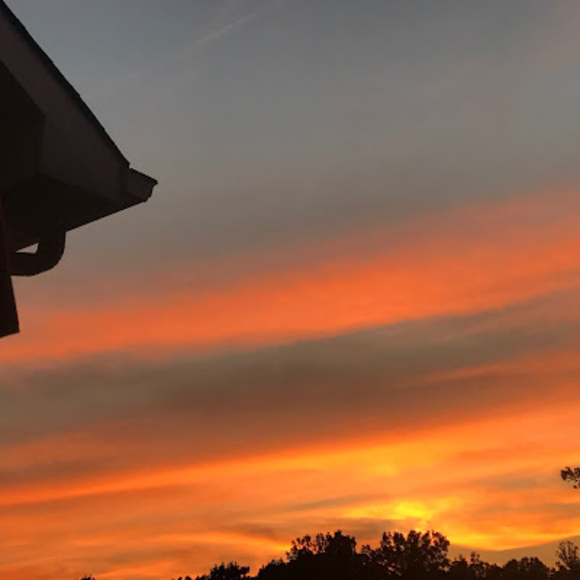 Meet your Posher, Amelia - Picture 1 of 1